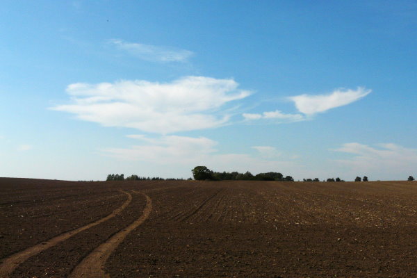 (c) a. boecking - bild 2.JPG